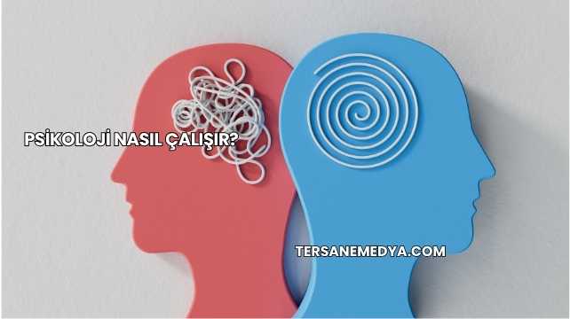 Psikoloji Nasıl Çalışır?