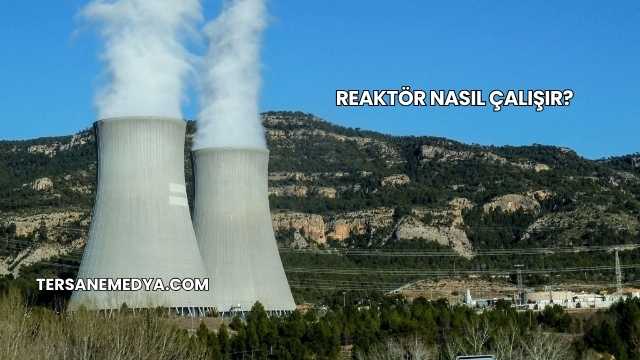 Reaktör Nasıl Çalışır?