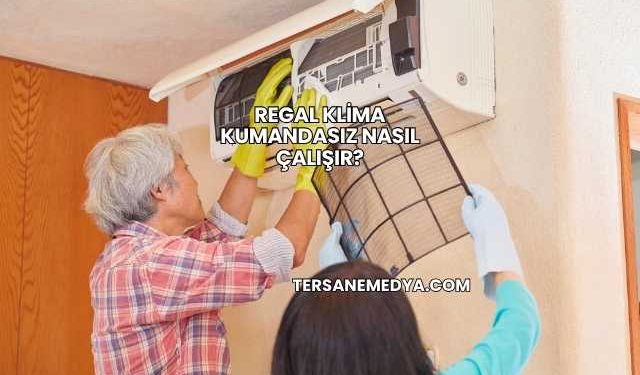 Regal Klima Kumandasız Nasıl Çalışır?