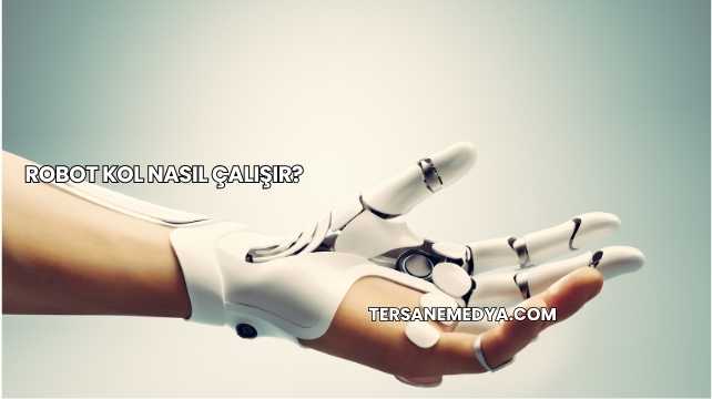 Robot Kol Nasıl Çalışır?