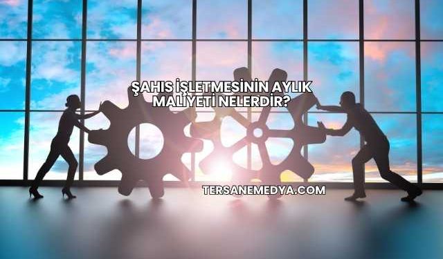 Şahıs İşletmesinin Aylık Maliyeti Nelerdir?