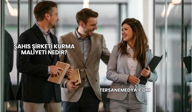 Şahıs Şirketi Kurma Maliyeti Nedir?