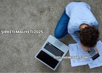Şahıs Şirketi Maliyeti 2025