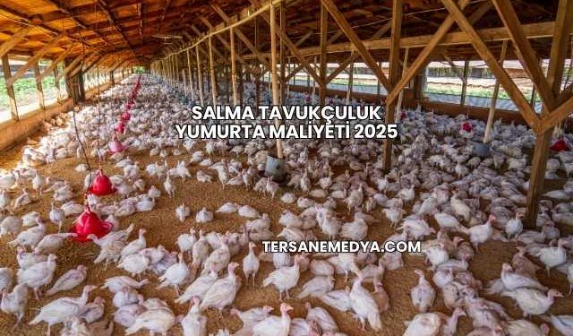 Salma Tavukçuluk Yumurta Maliyeti 2025