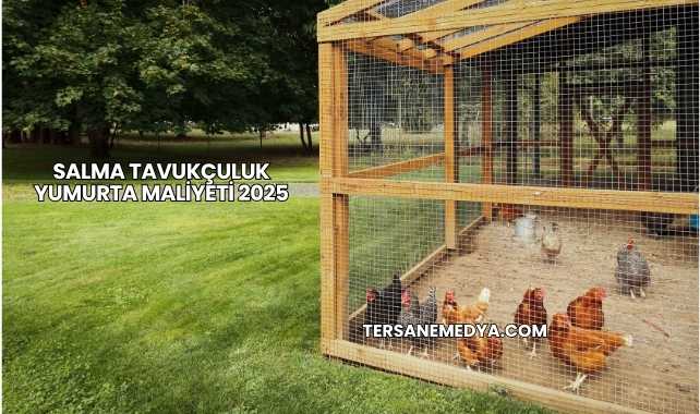 Salma Tavukçuluk Yumurta Maliyeti 2025