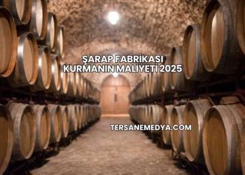 Şarap Fabrikası Kurmanın Maliyeti 2025