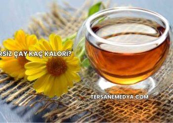 Şekersiz Çay Kaç Kalori?