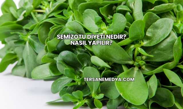 Semizotu Diyeti Nedir? Nasıl Yapılır?