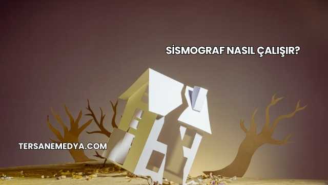 Sismograf Nasıl Çalışır?