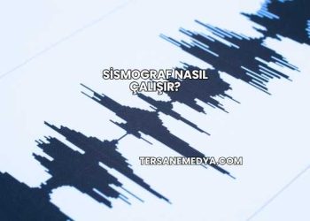 Sismograf Nasıl Çalışır?