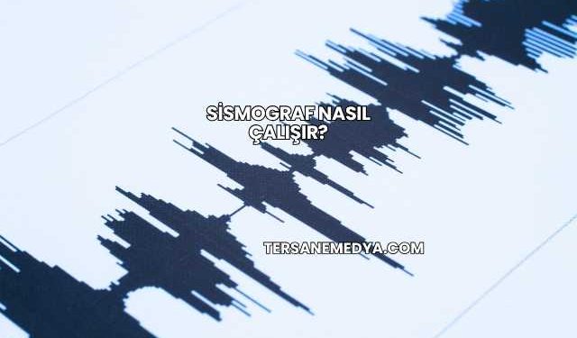 Sismograf Nasıl Çalışır?