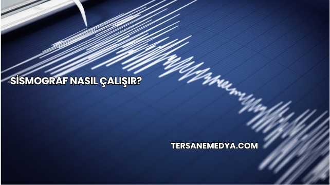 Sismograf Nasıl Çalışır?