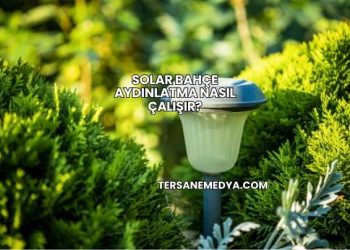 Solar Bahçe Aydınlatma Nasıl Çalışır?