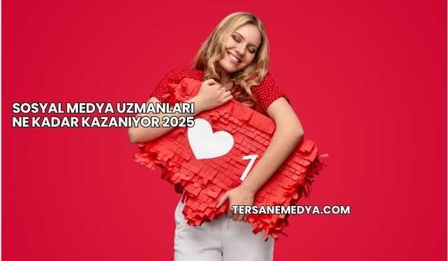Sosyal Medya Uzmanları Ne Kadar Kazanıyor 2025
