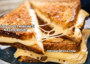 Stilevs Tost Makinesi Nasıl Çalışır?