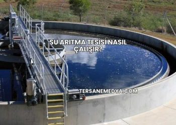 Su Arıtma Tesisi Nasıl Çalışır?