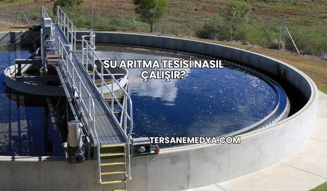 Su Arıtma Tesisi Nasıl Çalışır?