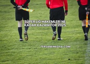 Süper Lig Hakemleri Ne Kadar Kazanıyor 2025