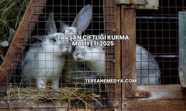 Tavşan Çiftliği Kurma Maliyeti 2025