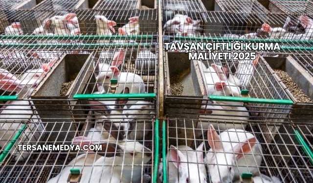 Tavşan Çiftliği Kurma Maliyeti 2025