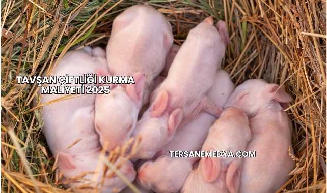 Tavşan Çiftliği Kurma Maliyeti 2025