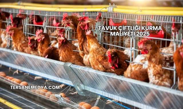 Tavuk Çiftliği Kurma Maliyeti 2025