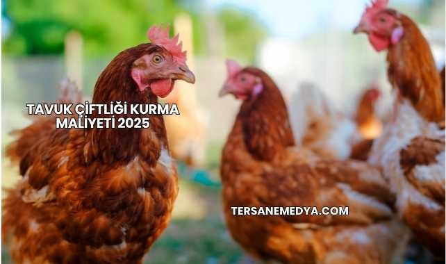 Tavuk Çiftliği Kurma Maliyeti 2025