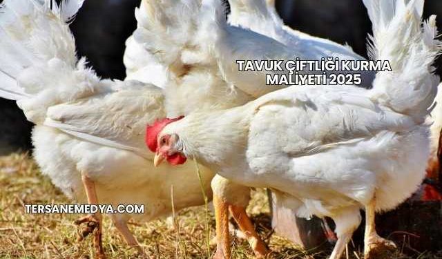 Tavuk Çiftliği Kurma Maliyeti 2025