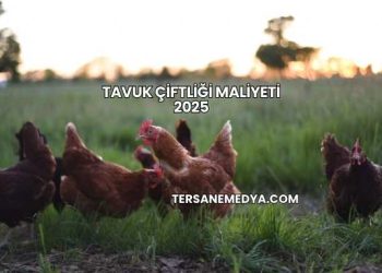 Tavuk Çiftliği Maliyeti 2025