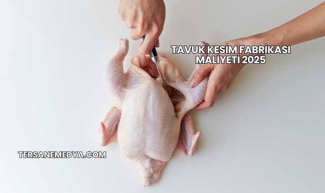 Tavuk Kesim Fabrikası Maliyeti 2025