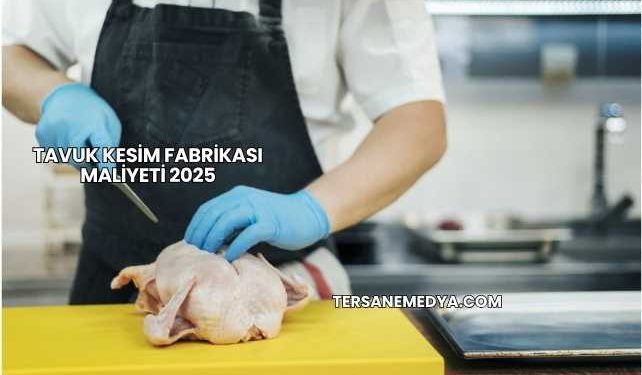 Tavuk Kesim Fabrikası Maliyeti 2025