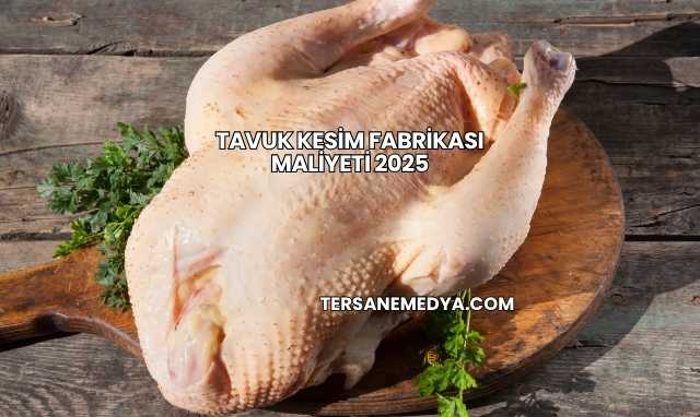 Tavuk Kesim Fabrikası Maliyeti 2025