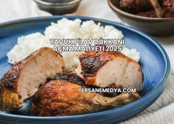 Tavuk Pilav Dükkanı Açma Maliyeti 2025