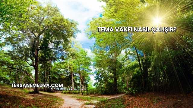 Tema Vakfı Nasıl Çalışır?