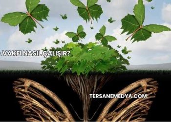 Tema Vakfı Nasıl Çalışır?