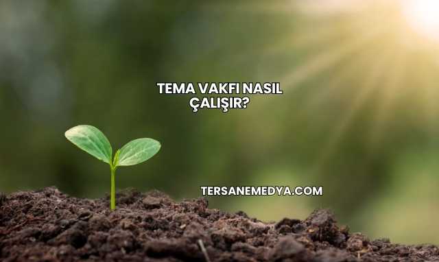 Tema Vakfı Nasıl Çalışır?