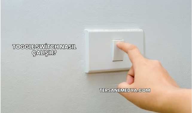 Toggle Switch Nasıl Çalışır?