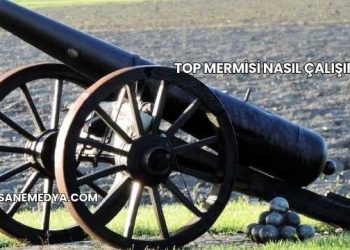 Top Mermisi Nasıl Çalışır?