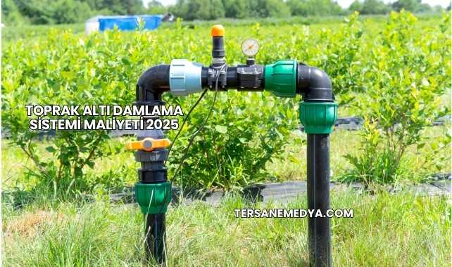 Toprak Altı Damlama Sistemi Maliyeti 2025