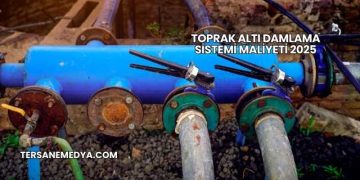 Toprak Altı Damlama Sistemi Maliyeti 2025