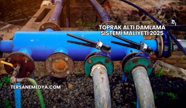 Toprak Altı Damlama Sistemi Maliyeti 2025