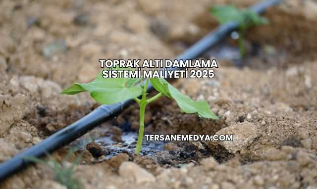 Toprak Altı Damlama Sistemi Maliyeti 2025