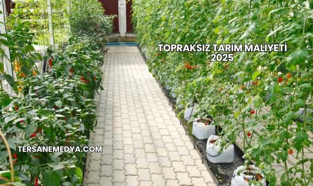 Topraksız Tarım Maliyeti 2025
