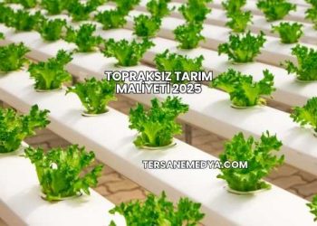Topraksız Tarım Maliyeti 2025