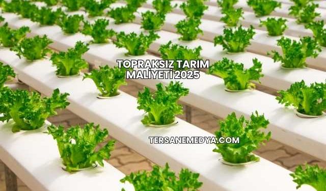 Topraksız Tarım Maliyeti 2025