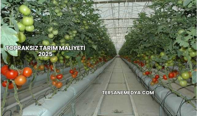Topraksız Tarım Maliyeti 2025