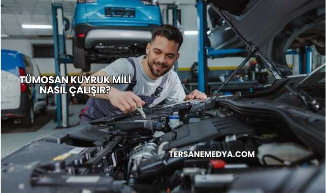 Tümosan Kuyruk Mili Nasıl Çalışır?