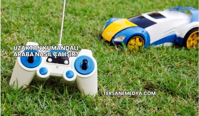 Uzaktan Kumandalı Araba Nasıl Çalışır?