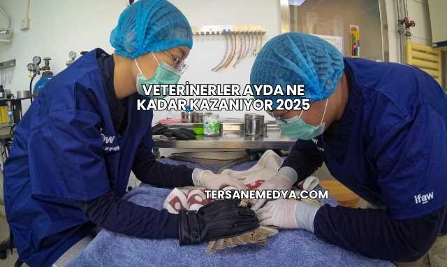 Veterinerler Ayda Ne Kadar Kazanıyor 2025
