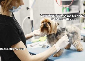 Veterinerler Ayda Ne Kadar Kazanıyor 2025